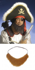 Pirátské vousy Brada