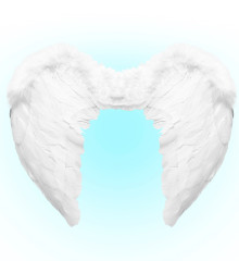Andělská křídla péřová 37x50 cm (7)